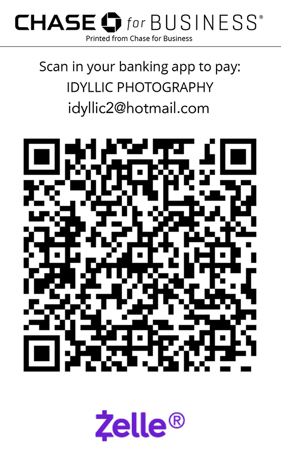 Zelle QR Code Zelle QR Code